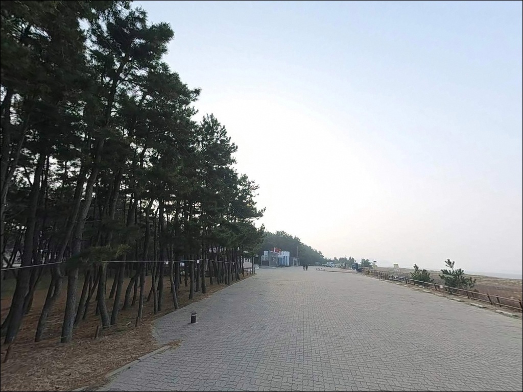 기지포해수욕장 주변 모습 8
