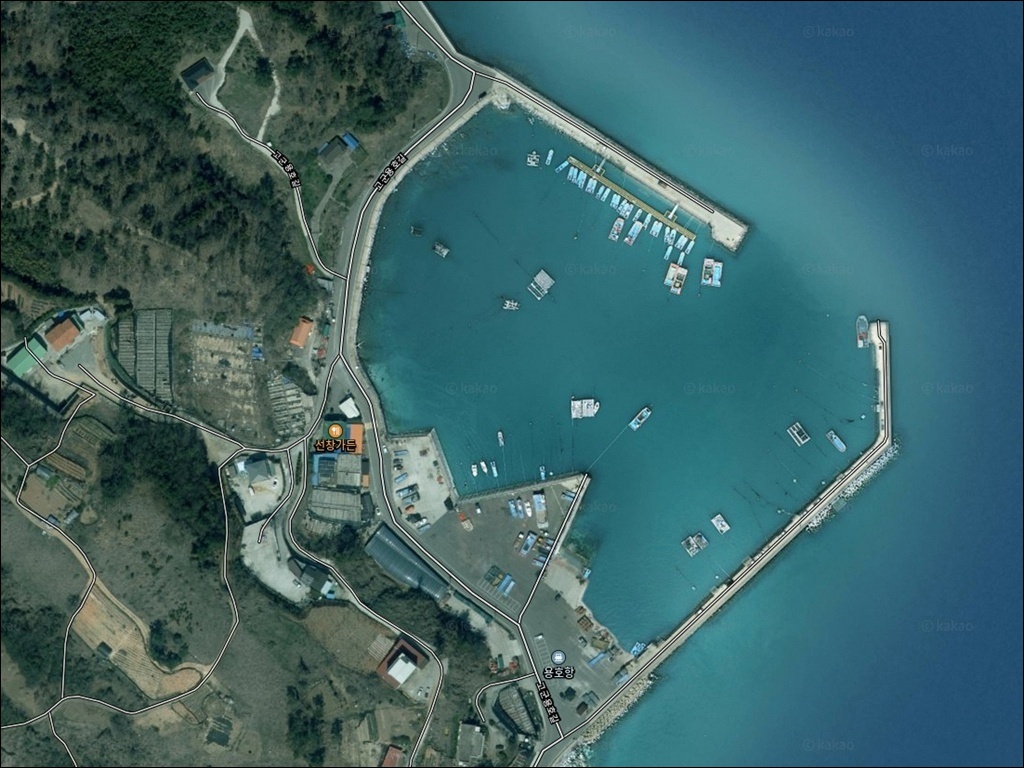 용호항(용호방파제) 주변 모습 1