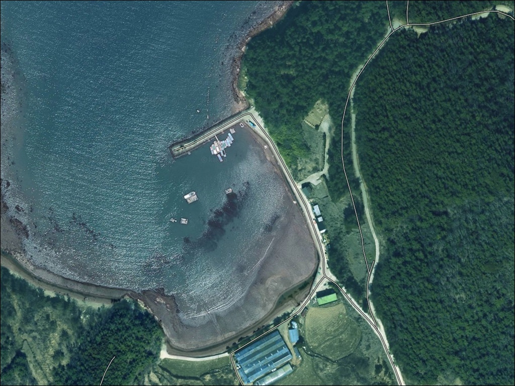 대영항 주변 모습 1